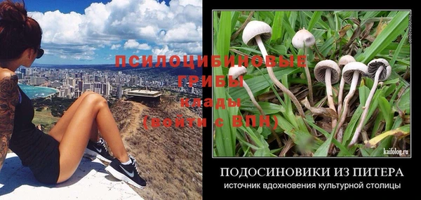 молекула духа Абаза